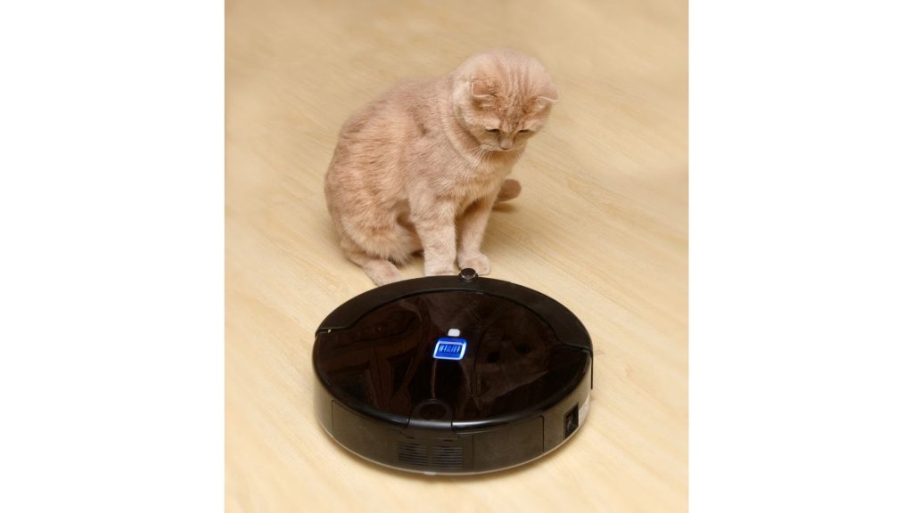 Robot aspirator si pisica